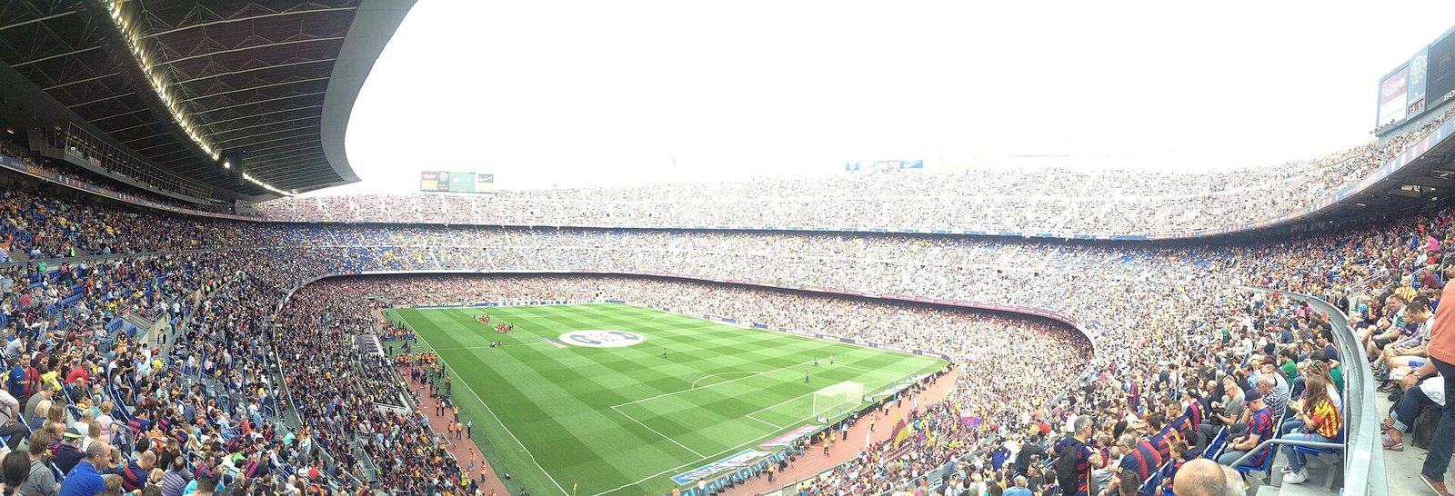 World Cup, NewsSparq
